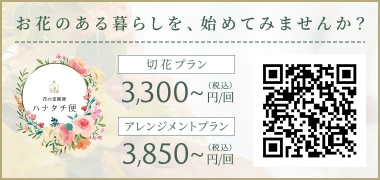 ご注文はこちら