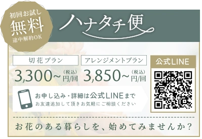 ご注文はこちら